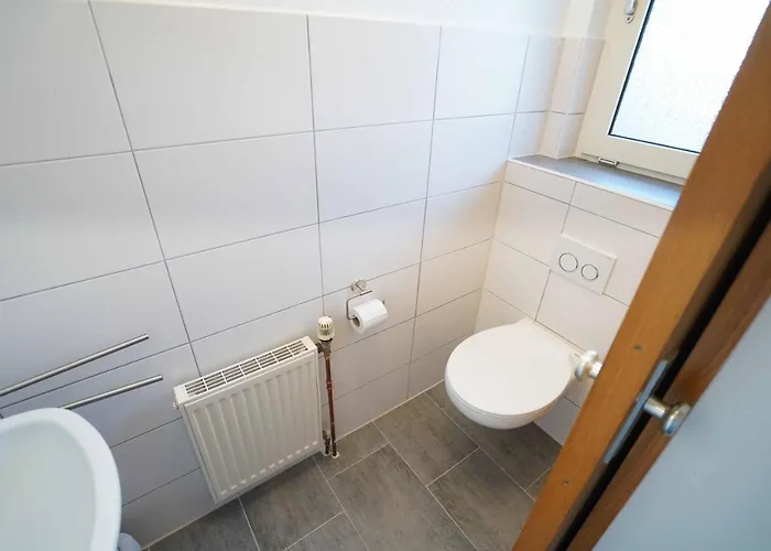 Sailor 多纳莫塞尔